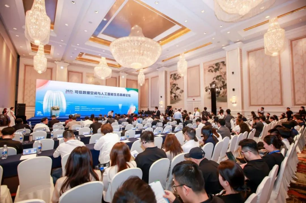 2025數字中國可信數據空間與人工智能生態高峰論壇成功舉辦